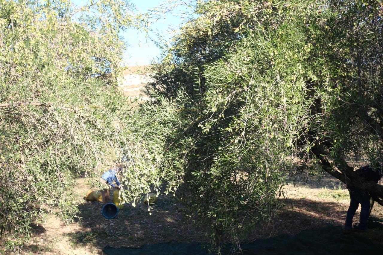 La Locanda Dei Fiori Bompensiere Εξωτερικό φωτογραφία